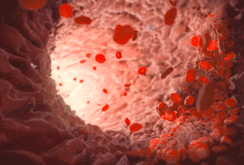 01.gif