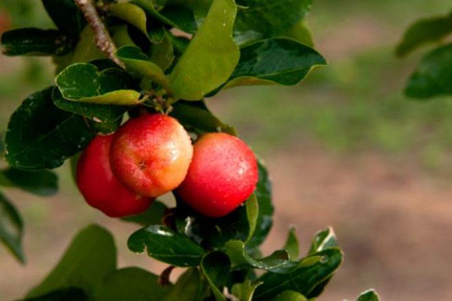 news11.jpg news11.jpg